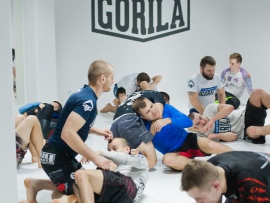 Kolejny prestiżowy trening w Academia Gorilla Tomaaszów