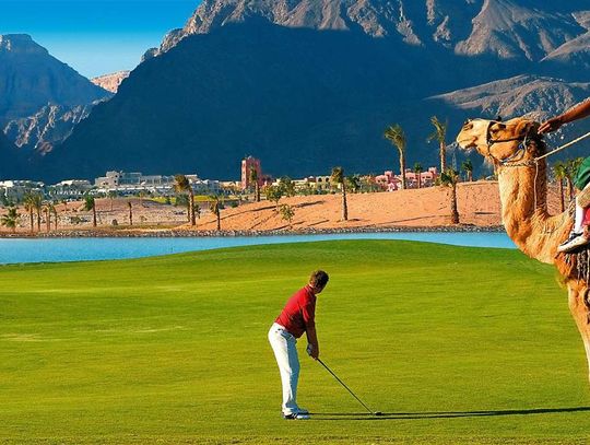 Pola golfowe w Egipcie