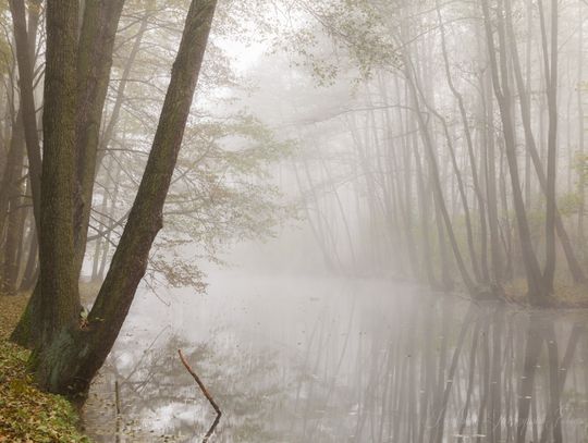 Niebieskie Źródła - spacer o każdej porze roku