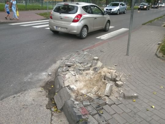 Rozjeżdżają Majową