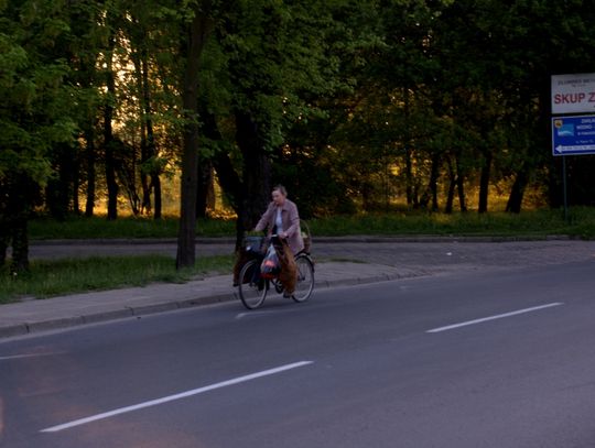 Ranek nad Pilicą Ranek nad Pilicą