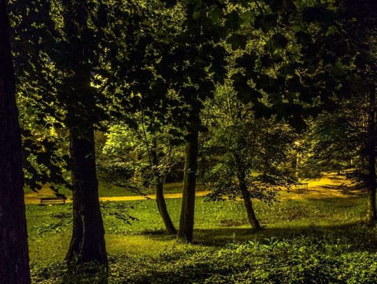 Kiedy miasto smacznie śpi