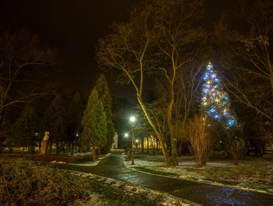 Choinka, bombka, sanie, renifery