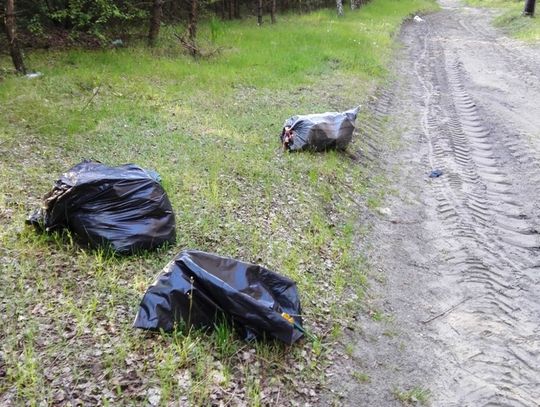 Zbiór obrazków obyczajowych...