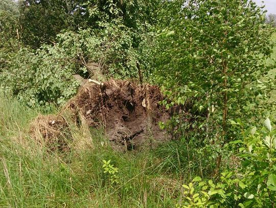 Wiało w mieście i nie tylko