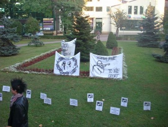 W obronie zwierząt W obronie zwierząt