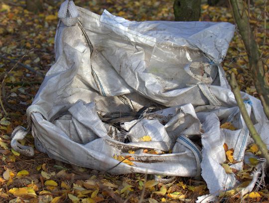 Człowiek to jednak zadziwiające stworzenie...