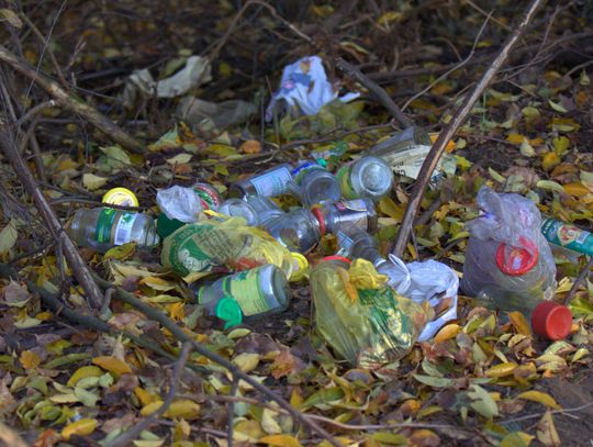 Człowiek to jednak zadziwiające stworzenie...