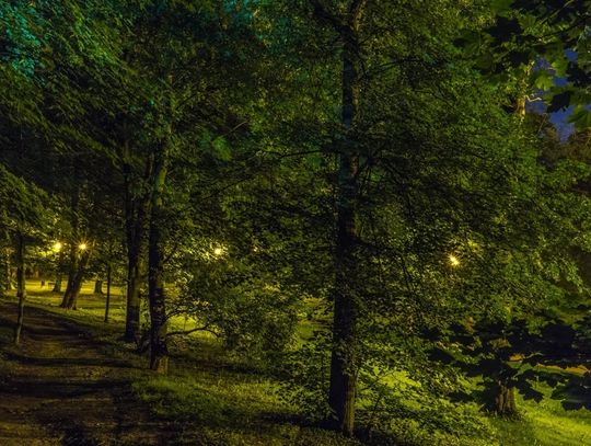 Kiedy miasto smacznie śpi