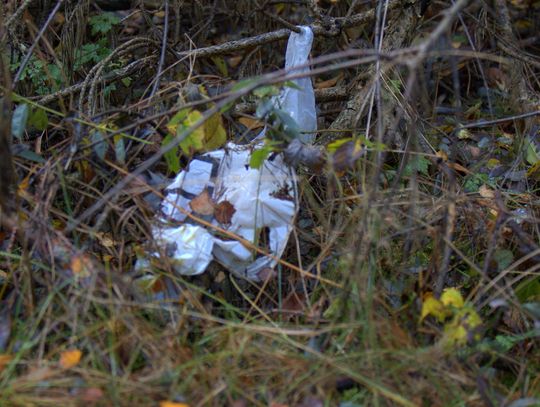 Człowiek to jednak zadziwiające stworzenie...
