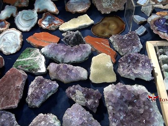 IV wystawa minerałów, skamieniałości i wyrobów jubilerskich &quot;Skarby Ziemi&quot;