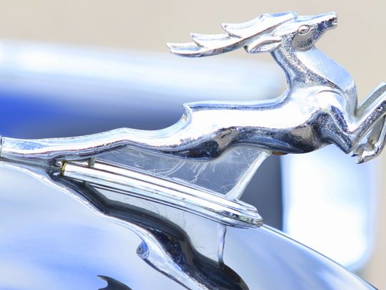 Tańce, hulanki, swawole...