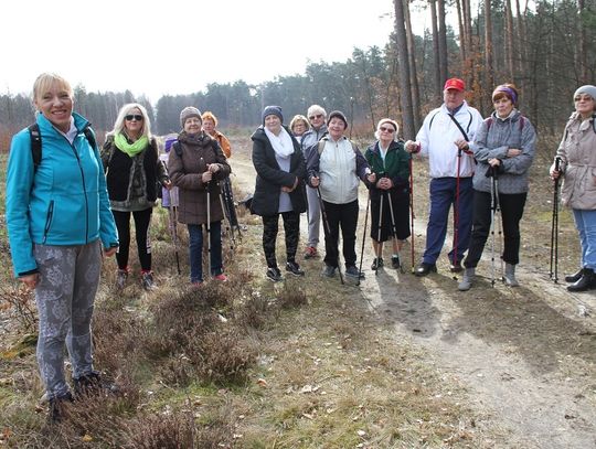 Nordic Walking na leśnych ścieżkach