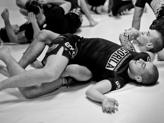 Kolejny prestiżowy trening w Academia Gorilla Tomaaszów