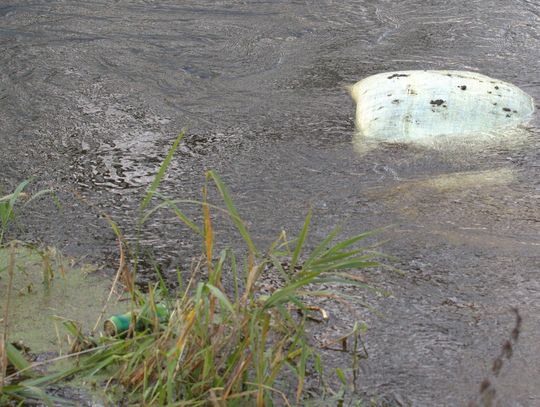 Człowiek to jednak zadziwiające stworzenie...