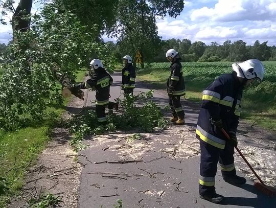 Wiało w mieście i nie tylko