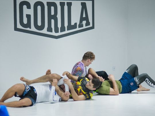 Kolejny prestiżowy trening w Academia Gorilla Tomaaszów