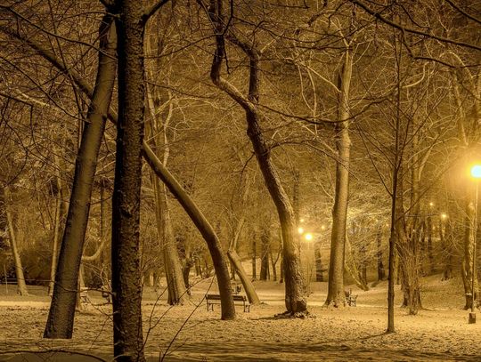 Kiedy miasto smacznie śpi