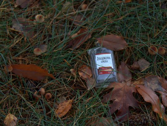 Człowiek to jednak zadziwiające stworzenie...