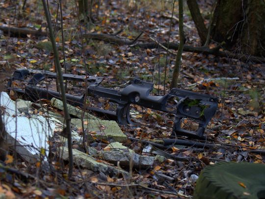 Człowiek to jednak zadziwiające stworzenie...