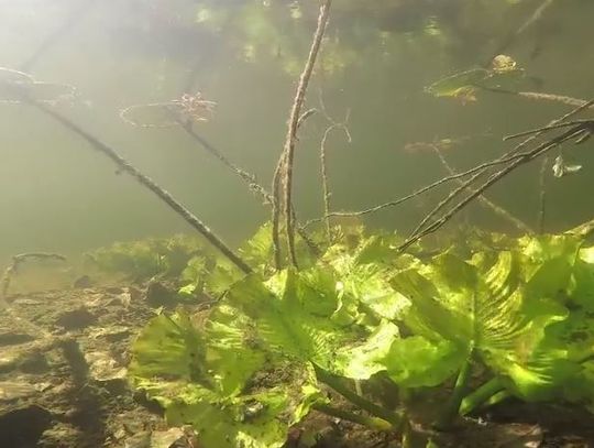 Niebiesko i zielono, czyli.... sami zobaczcie