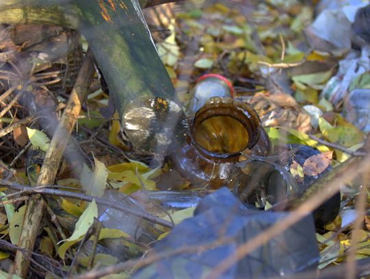 Człowiek to jednak zadziwiające stworzenie...