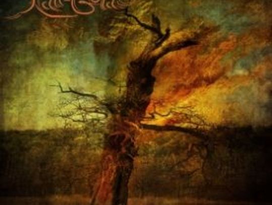 Dwa światy, to samo serce