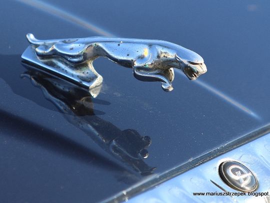 Klasyki nie tylko nocą Klasyki nie tylko nocą