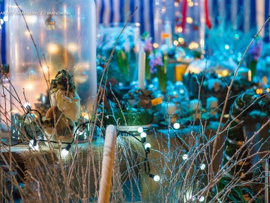 Święta... idą Święta