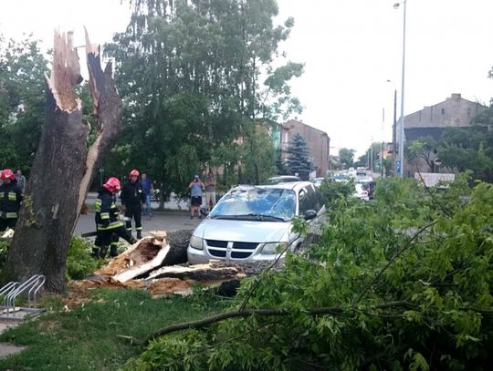 Wiało w mieście i nie tylko