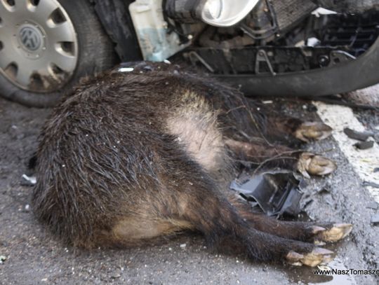 Tragiczny finał wypadku. Kierowca Fiata nie żyje