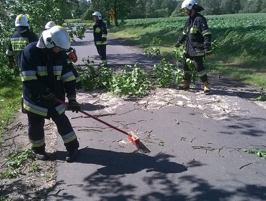 Wiało w mieście i nie tylko