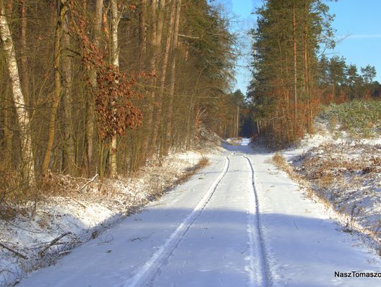 Zapowiada się słoneczny weekend