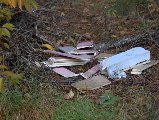 Człowiek to jednak zadziwiające stworzenie...