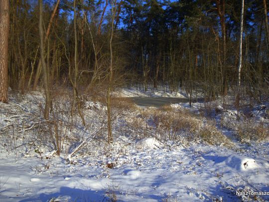 Zapowiada się słoneczny weekend