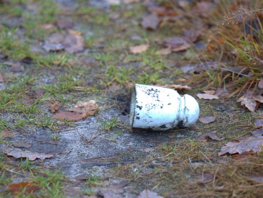 Człowiek to jednak zadziwiające stworzenie...