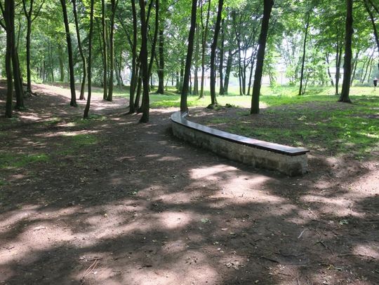 Park „Michałówek” zrewitalizowany