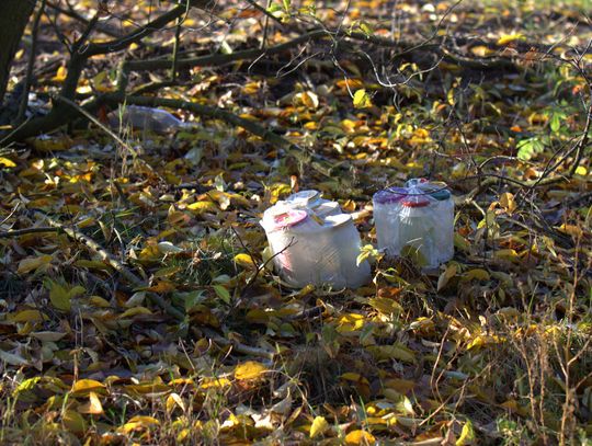 Człowiek to jednak zadziwiające stworzenie...