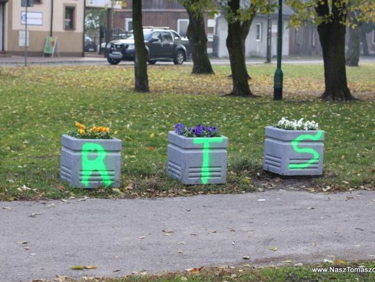 Bo tak podpowiada psi instynkt