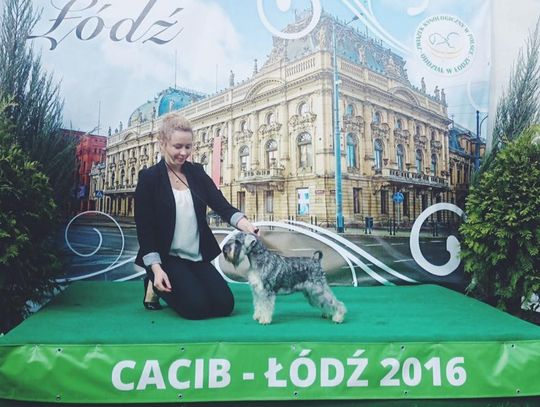 Czworonożna gwiazda