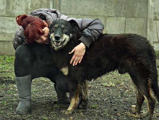 Cezar, Roma i Goliat czekają na Ciebie w Schronisku