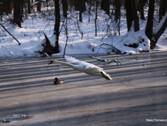 Przysypało wszystko na biało