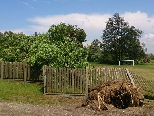 Wiało w mieście i nie tylko