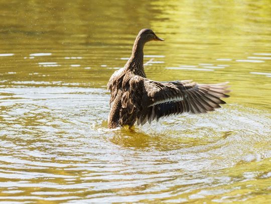 Niebieskie Źródła - spacer o każdej porze roku