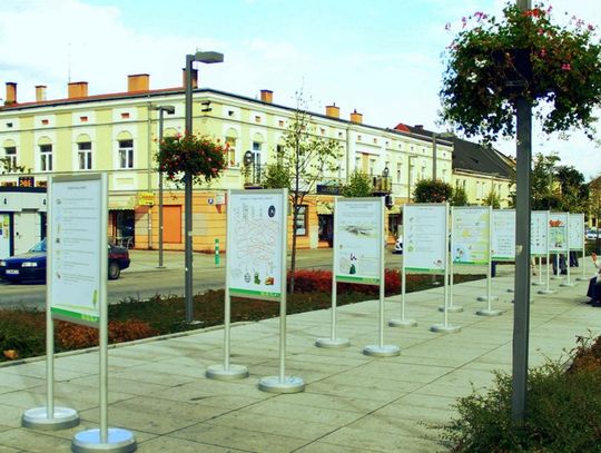 Dwadzieścia metrów edukacji ekologicznej ENERIS  na Placu Tadeusza Kościuszki