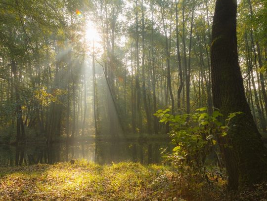 Niebieskie Źródła - spacer o każdej porze roku