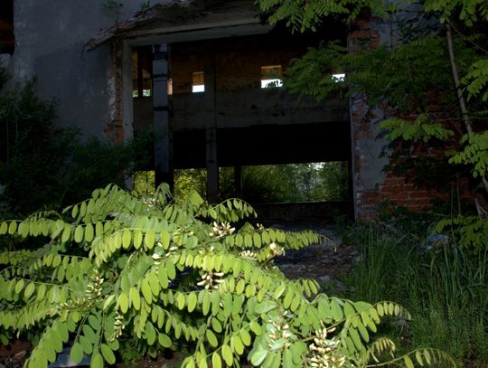 Tomaszowski "Czernobyl"