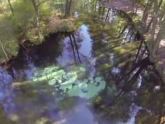 Niebiesko i zielono, czyli.... sami zobaczcie