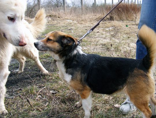 Czy te oczy mogą kłamać Czy te oczy mogą kłamać