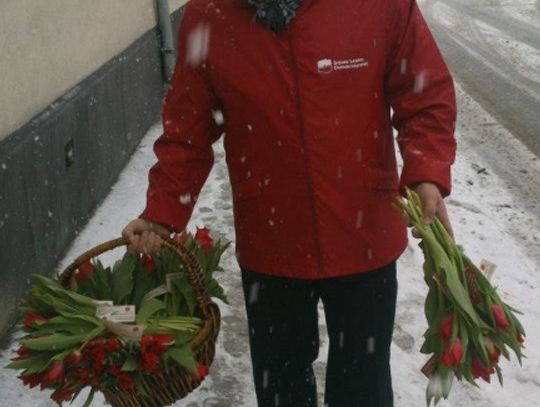 Z tulipanami w rękach